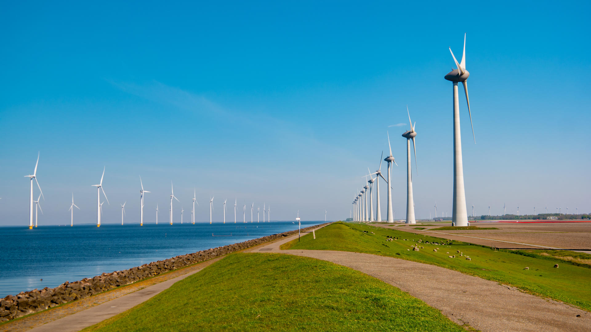 windmills turbines with a blue sky